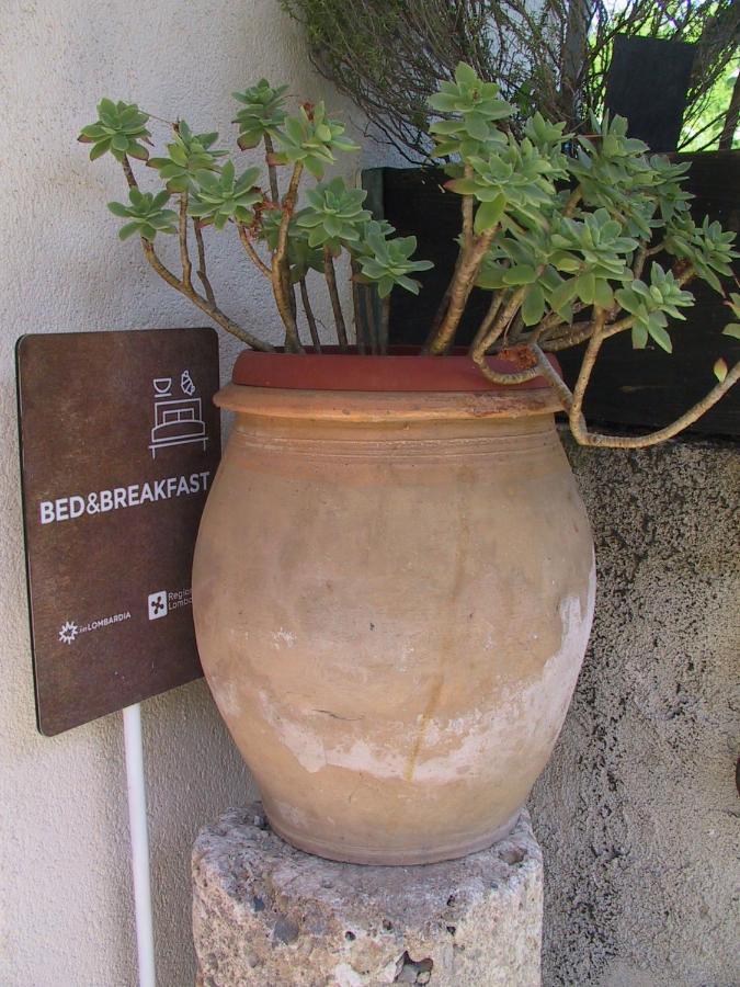 B&B Il Rustico Turate Extérieur photo